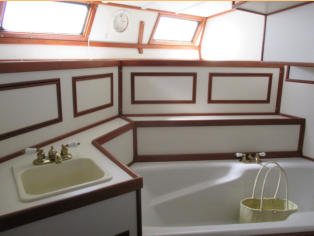 Master Tub and Vanity