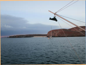 Fish Ready to Deploy