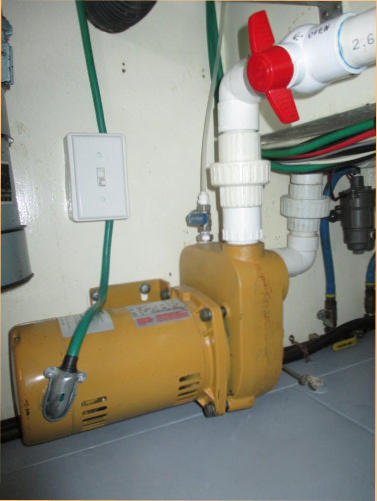 Monarch Effluent Pump